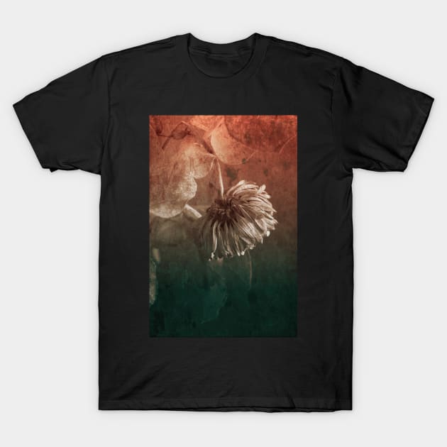 Petals T-Shirt by RJDowns